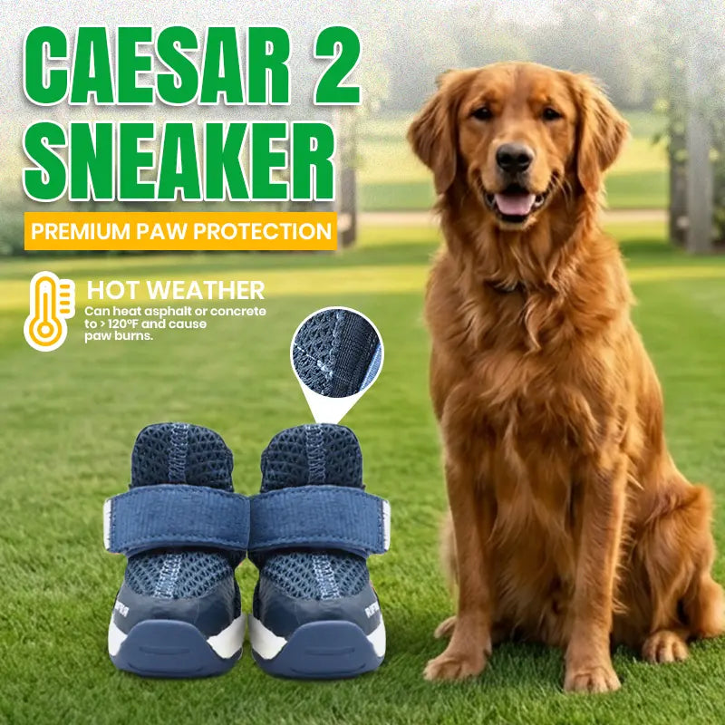 Rifruf Set of 2 Breathable Non‑Slip Pet Shoes – Lightweight Paw Protection Sneakers for Dogs & Cats