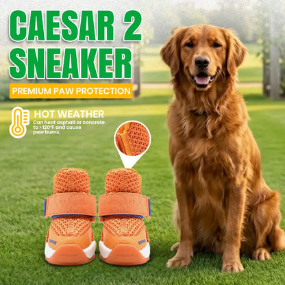 Rifruf Set of 2 Breathable Non‑Slip Pet Shoes – Lightweight Paw Protection Sneakers for Dogs & Cats